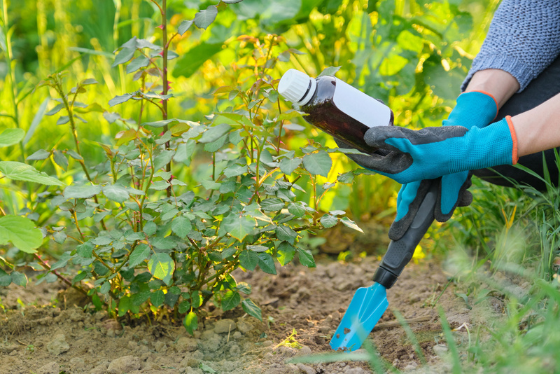 Female Gardening with Bottle of Chemical Fertilizer
